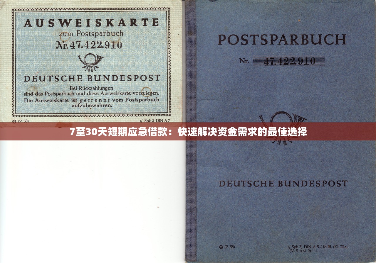 放心借协商还本金技巧详解