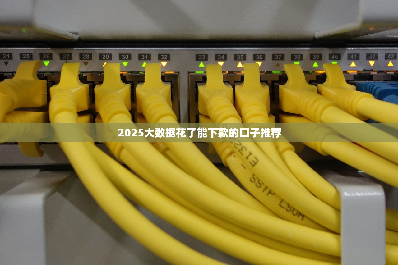 支付宝有黑花口子吗，分析五个必下款的贷款平台