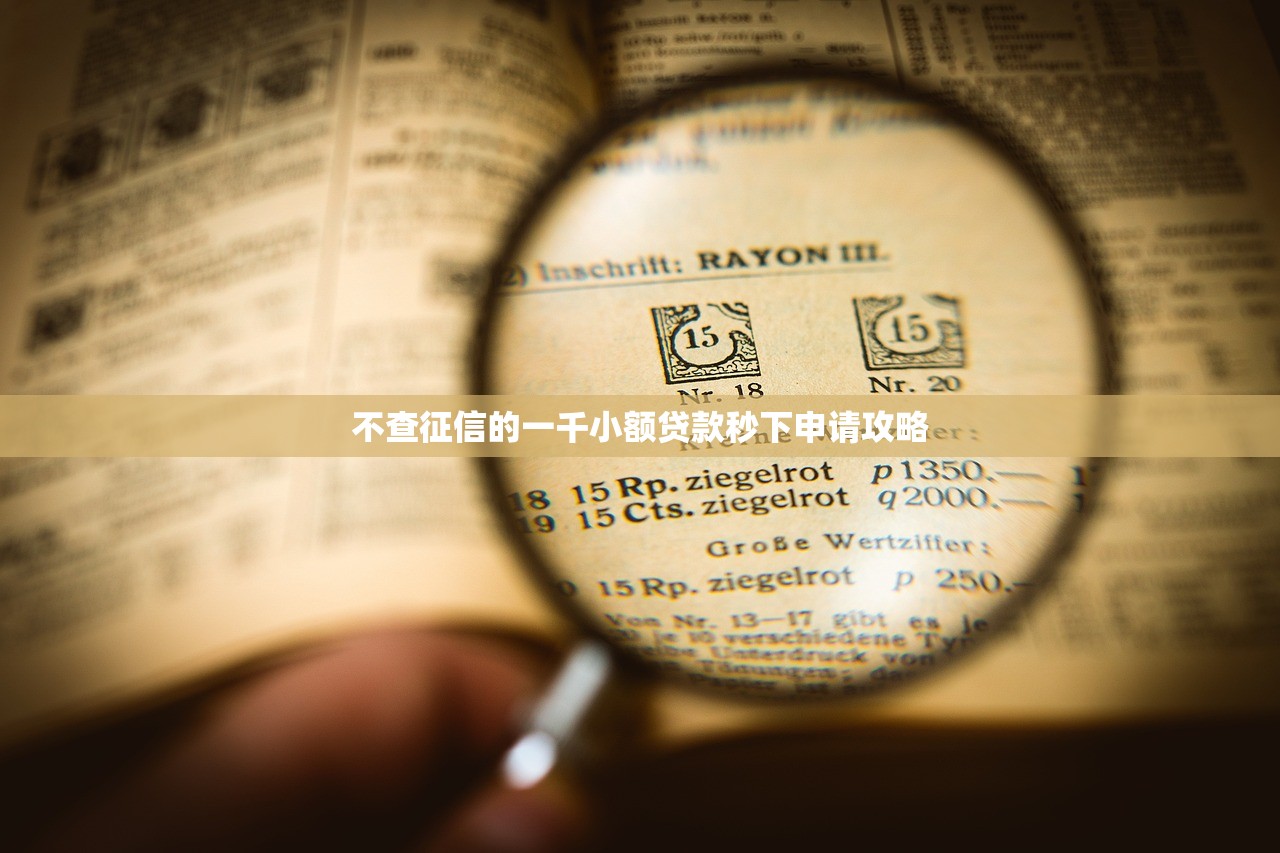 广元哪里可以借钱不看征信？急需短期周转快速放款