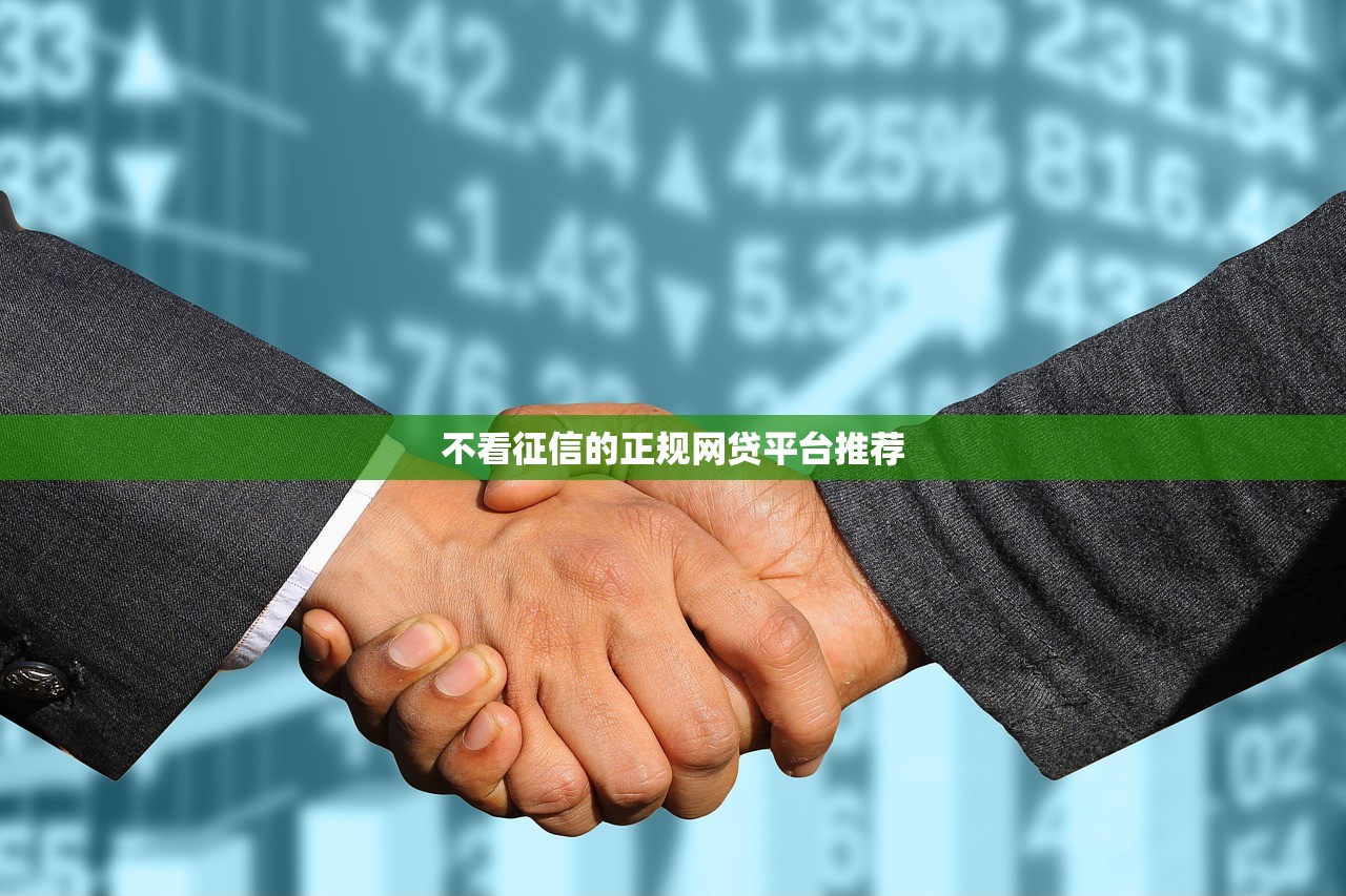 哪个网贷不看征信能下大额2025年逐个专业分析！顺道罗列这五个无视黑白秒批24期的贷款