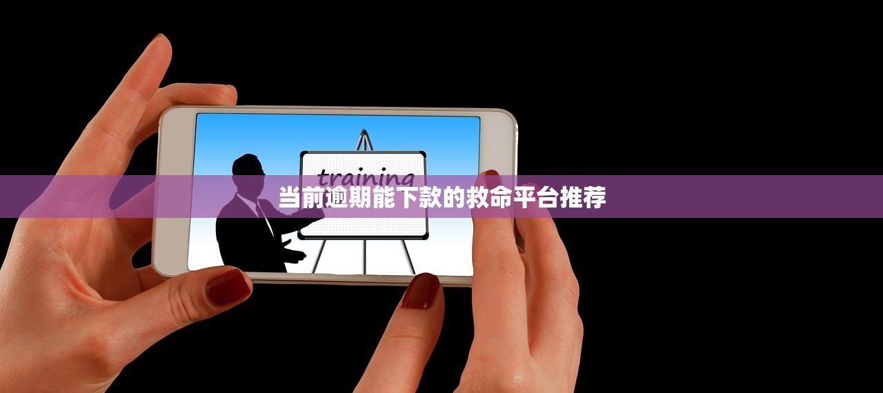 高炮都有哪些口子，例举5个黑户借1000借款平台能放款