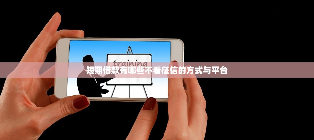 贷款什么口子下款快，国内五大有没有好的贷款平台