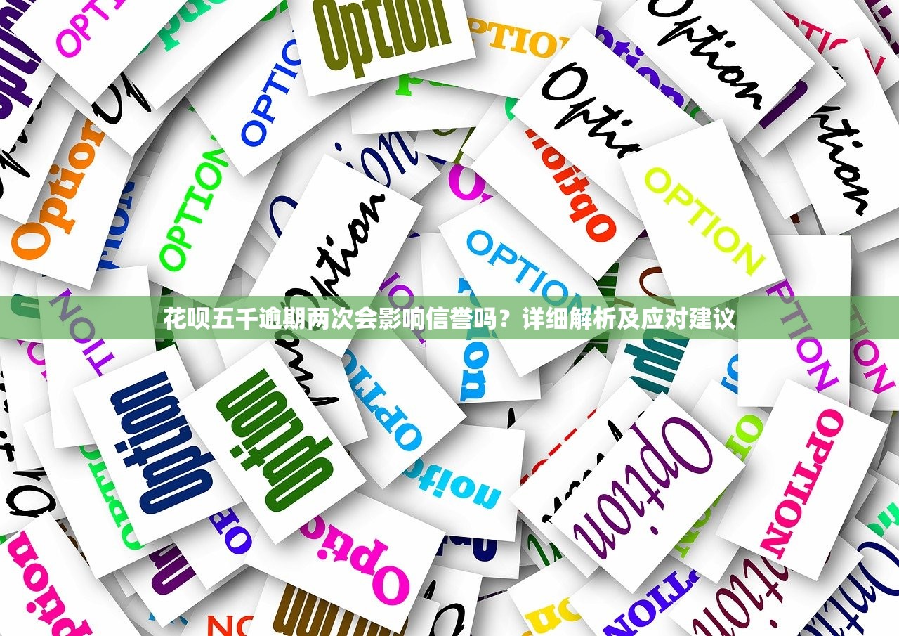 黑户快速借款10000当天到账