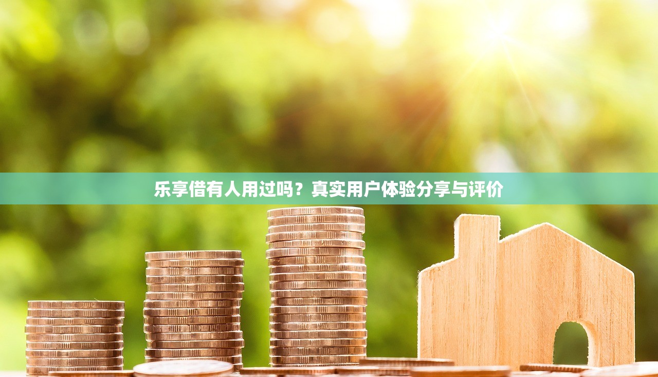 网贷黑花口子是什么，五大评分不足征信花可以借的平台