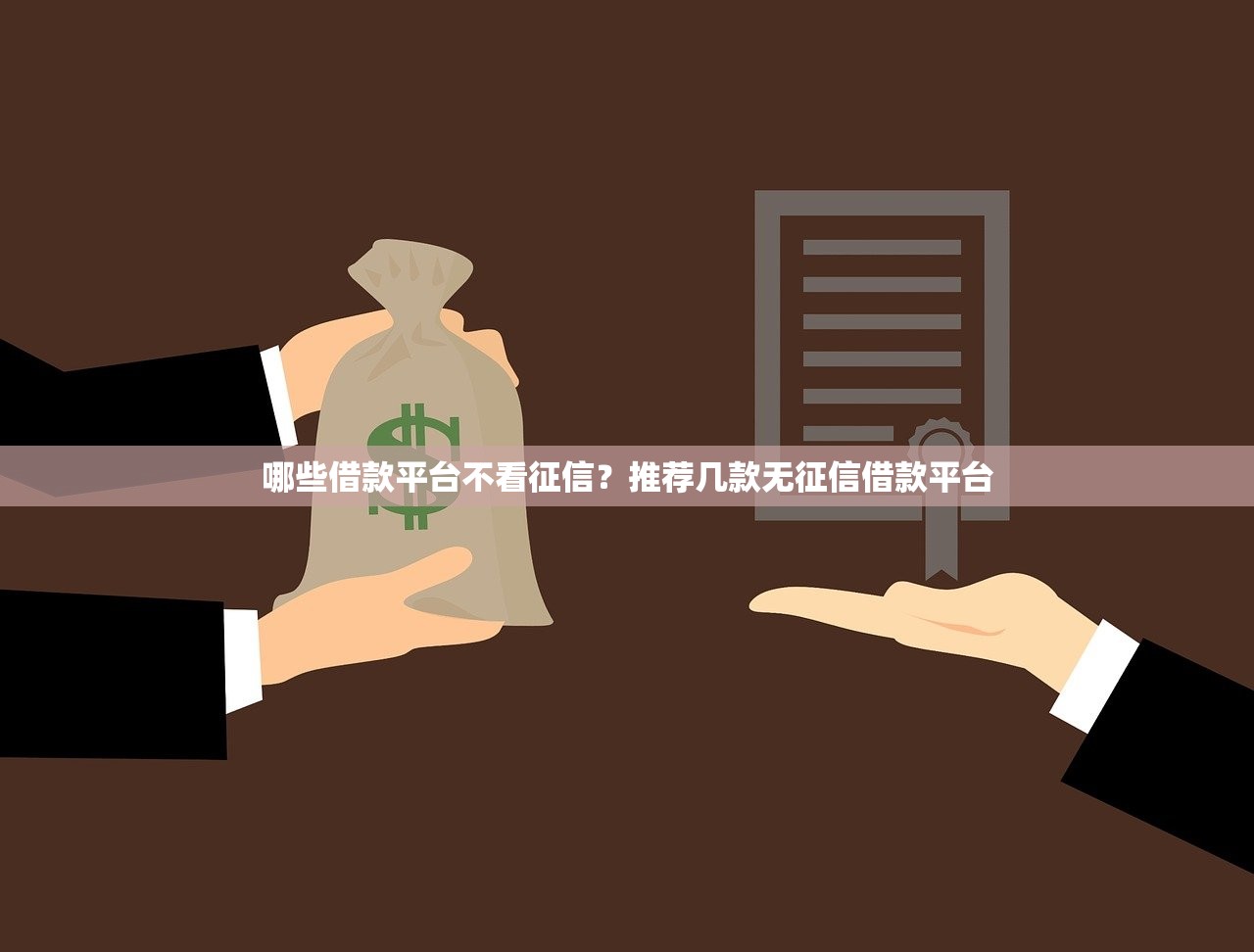 2025年无视征信贷款平台实测 2025年无视征信贷款平台实测