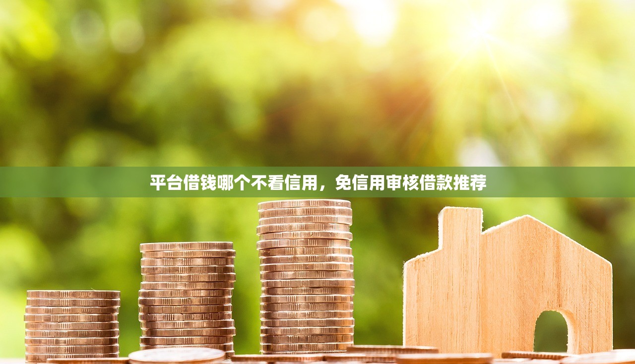 美团额度怎么那么高，介绍五个好下款不看征信的网贷平台