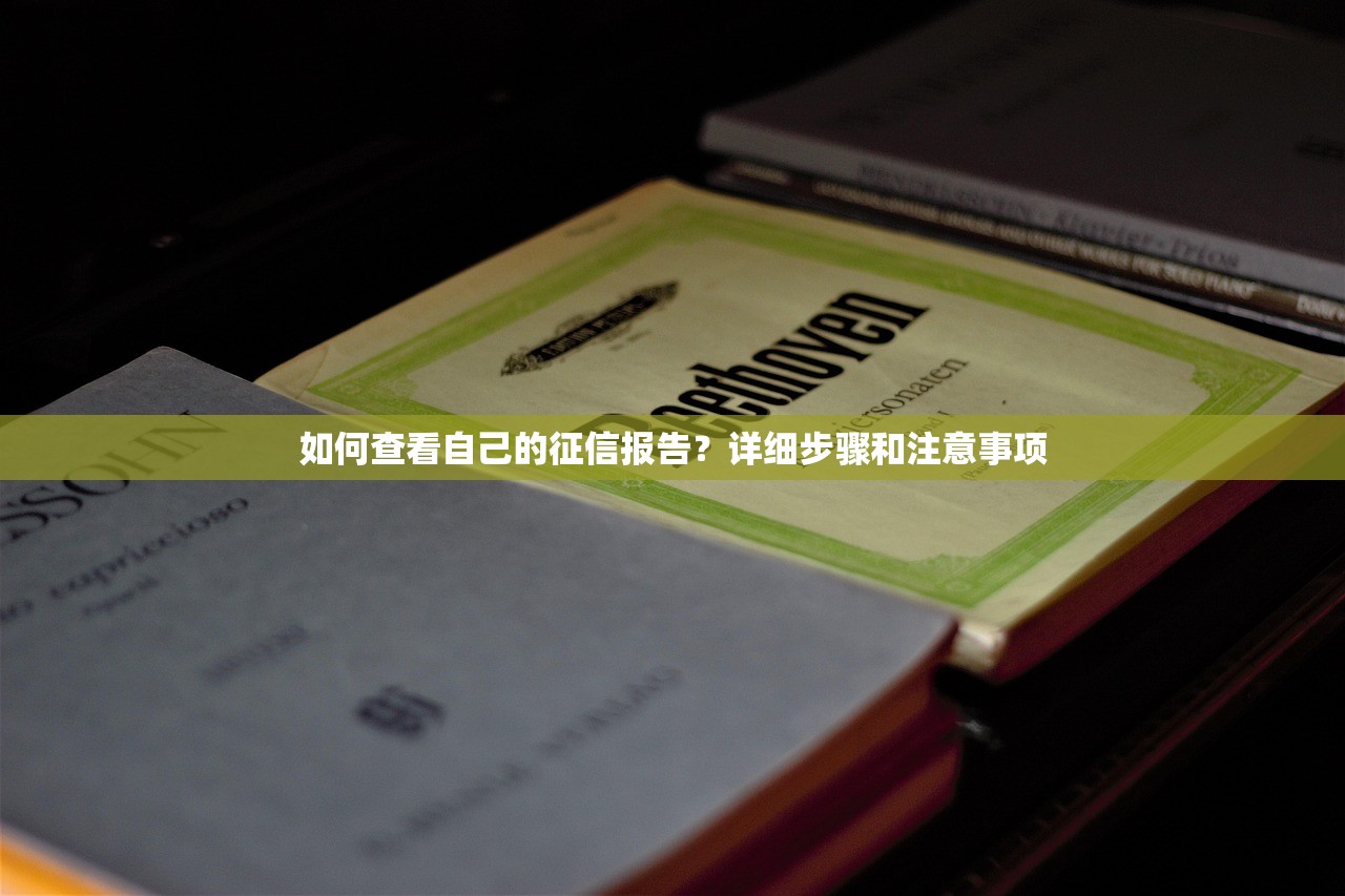 优黑户下款的口子，国内五大小额度借钱百分百通过的平台