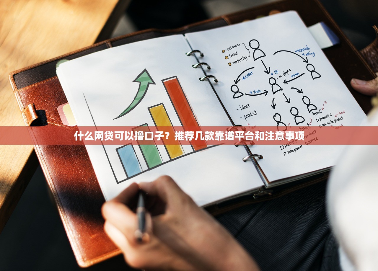 2025年芝麻分470能贷的口子甄选这5个！本文为您详细汇集！