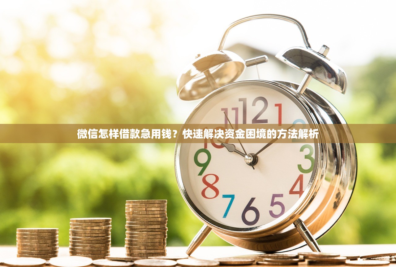 老口子新马甲贷款避坑指南