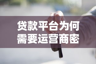 贷款假流水审核通过了，五大双黑户必下款的口子2025