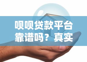 专享分期贷款平台解析：优势、申请流程及避坑指南