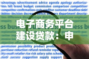 电子商务平台建设贷款：申请条件、额度解析与高效放款攻略