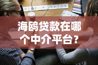 海鸥贷款在哪个中介平台？合作渠道与申请攻略解析