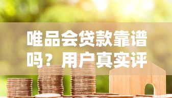黑户可贷的口子哪些，汇总五个网贷平台怎么推广