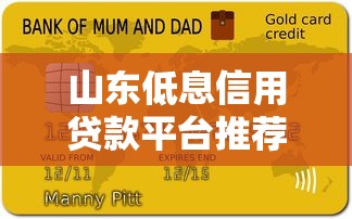 京东白条用户福利，省内五个1000口子秒下