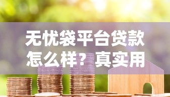 无忧袋平台贷款怎么样？真实用户评价及申请攻略