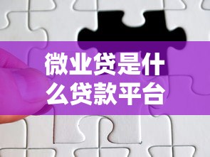 微业贷是什么贷款平台?企业主必看的贷款申请指南 微业贷是什么贷款平台?企业主必看的贷款申请指南
