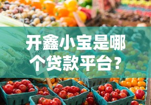 开鑫小宝是哪个贷款平台?产品背景及使用评测解析 开鑫小宝是哪个贷款平台?产品背景及使用评测解析