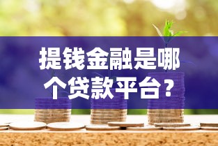 提钱金融是哪个贷款平台？正规资质、贷款额度及申请流程详解