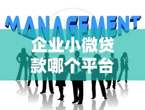 企业小微贷款哪个平台好？2023年靠谱平台推荐及申请攻略