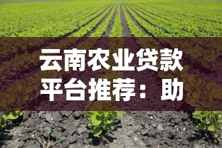 云南农业贷款平台推荐：助农资金申请攻略