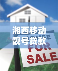 湘西移动靓号贷款平台：快速申请指南与优势解析