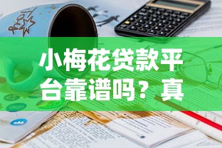 小梅花贷款平台靠谱吗？真实用户经历全面解析