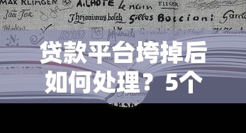 贷款平台垮掉后如何处理？5个步骤教你应对突发状况