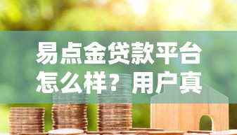 易点金贷款平台怎么样？用户真实体验与贷款流程全面解析