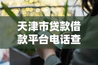 天津市贷款借款平台电话查询及正规渠道推荐