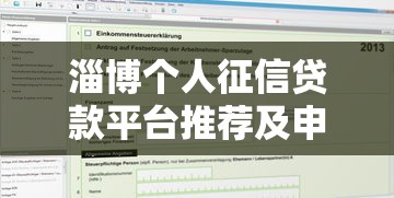 淄博个人征信贷款平台推荐及申请攻略