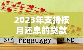 2023年支持按月还息的贷款平台推荐：灵活还款更省心