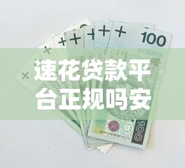 频繁申请网贷被拒原因解析