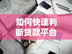 如何快速判断贷款平台是否靠谱？10个关键点帮你避坑