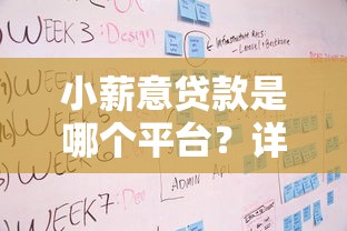 小薪意贷款是哪个平台？详解产品特点、申请流程及用户评价