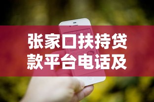 张家口扶持贷款平台电话及最新政策指南