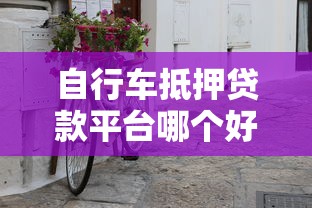 自行车抵押贷款平台哪个好？五大关键点帮你选对机构