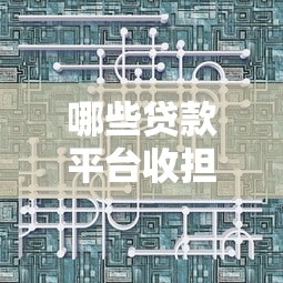哪些贷款平台收担保费？盘点常见机构及费用明细