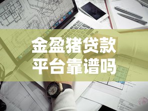 金盈猪贷款平台靠谱吗？实测资质、利率、风控等关键指标