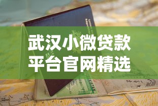 武汉小微贷款平台官网精选：快速申请指南与靠谱平台推荐