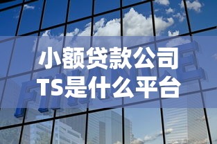 小额贷款公司TS是什么平台？解析靠谱借贷新选择