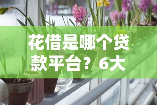 花借是哪个贷款平台？6大核心疑问深度解析