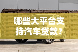 哪些大平台支持汽车贷款？5家靠谱渠道推荐及申请避坑指南