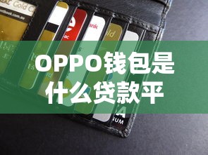 OPPO钱包是什么贷款平台？全面解析其功能、资质与用户评价