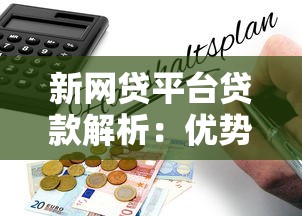 新网贷平台贷款解析：优势、风险与申请指南