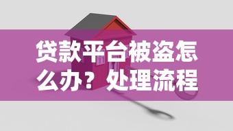 贷款平台被盗怎么办？处理流程与防范措施详解