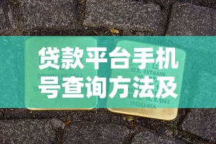 贷款平台手机号查询方法及注意事项全解析