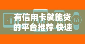 有信用卡就能贷的平台推荐 快速申请低息借款攻略