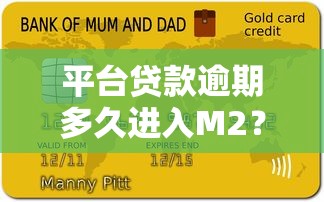平台贷款逾期多久进入M2？这份指南帮你避坑