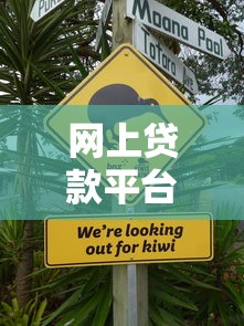 网上贷款平台哪些查征信？查征信与不查平台选择指南